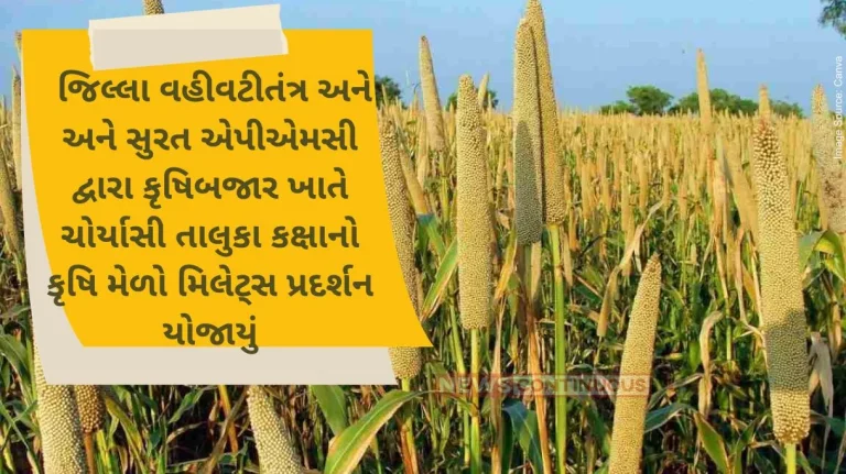 District Administration and Surat APMC organized eighty four taluka level agricultural fair millet exhibition at Krishi Bazar. District Administration and Surat APMC organized eighty four taluka level agricultural fair millet exhibition at Krishi Bazar.