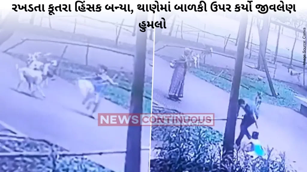 Dog Attack Stray dogs ambush kid at Thane's Lodha Amara residential complex