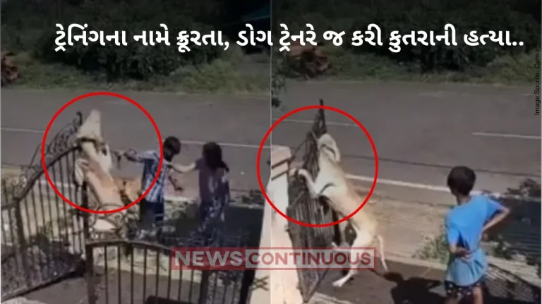 Dog killed: Dog left hanging with chain to die; trainer among 3 booked