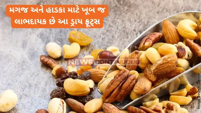 Dryfruits These dry fruits are very beneficial for the brain and bones, know about the nutrients in them!