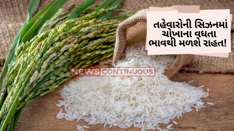 Export duty India extends 20% export duty on parboiled rice till March 31 next year