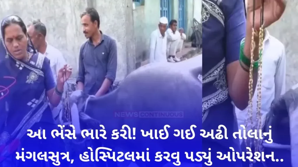 Maharashtra: Buffalo Gulps Gold Mangalsutra Worth ₹2 Lakh In Washim, Retrieved After 2-Hour Long Surgery;