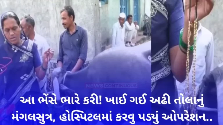 Maharashtra: Buffalo Gulps Gold Mangalsutra Worth ₹2 Lakh In Washim, Retrieved After 2-Hour Long Surgery;