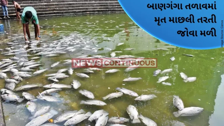 Mumbai Hundreds of dead fish found floating in Banganga tank