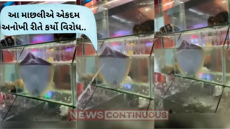 Protest : A stingray protesting against aquarium life.