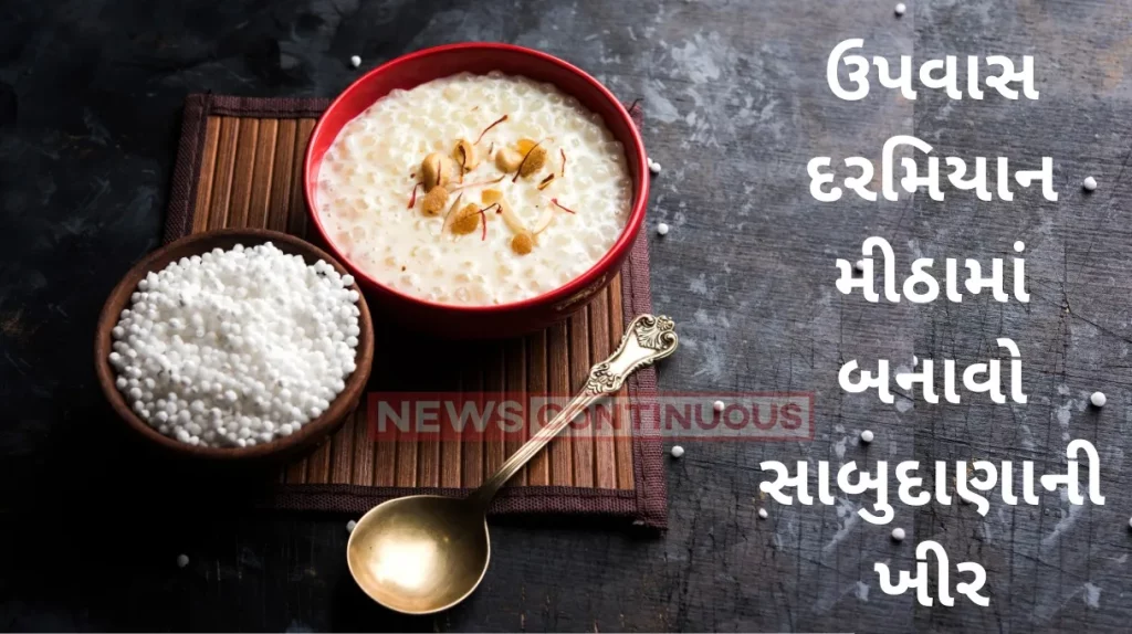Sabudana Kheer 6 delicious sabudana recipes to make during your fast