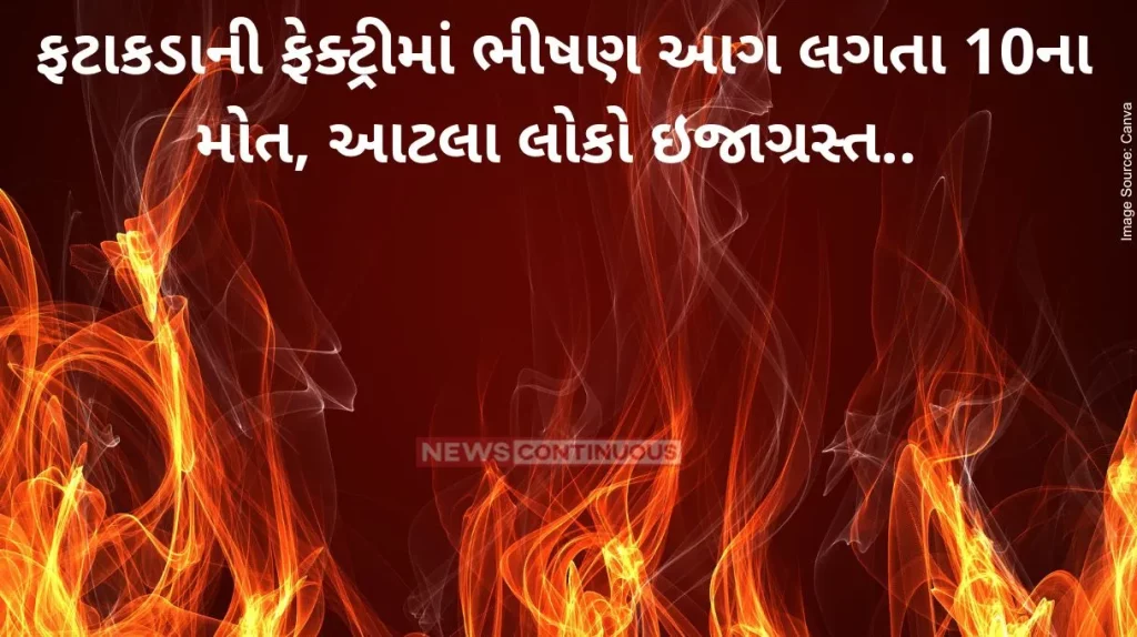 Tamil Nadu Fierce fire at firecracker factory in Tamil Nadu, 10 dead, 13 injured, government announces compensation