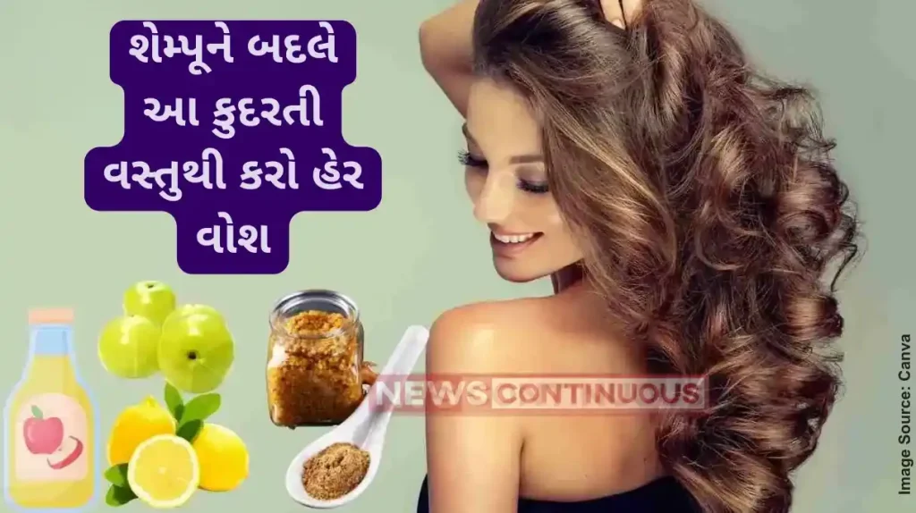 Try These 3 DIY Shampoo for Healthy Hair