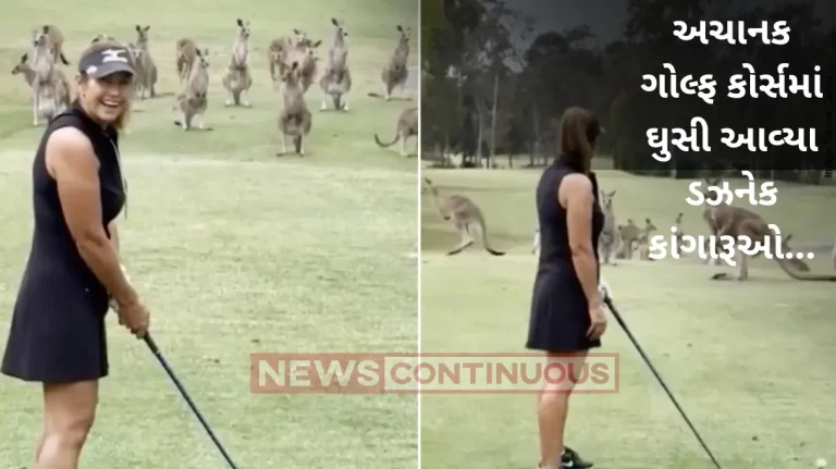 Viral Video: A mob of kangaroos interrupt golfer Wendy Powick as she prepares to tee off