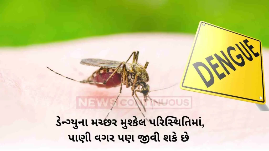 Dengue mosquitoes can live in harsh conditions, even without water