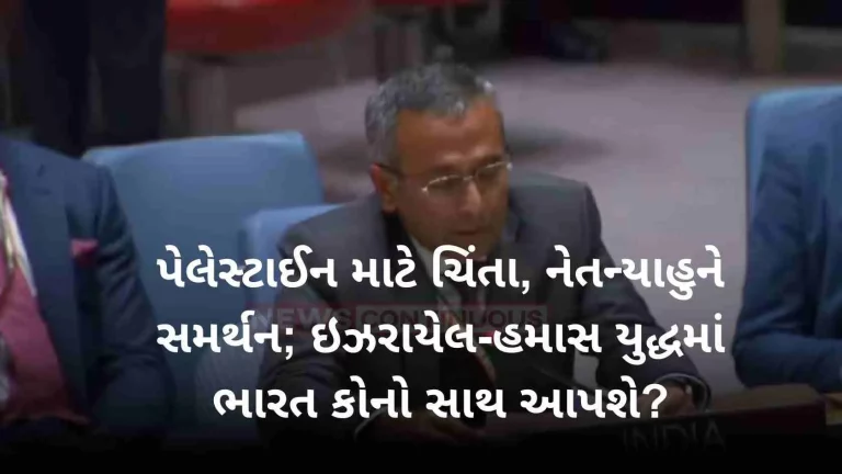 India raises concern over Israel-Hamas war at UN Security Council