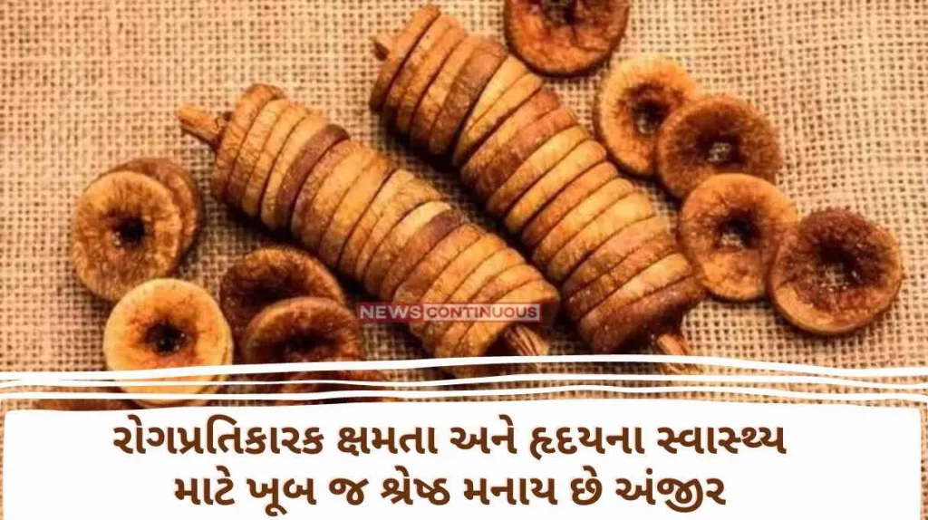Anjeer Figs are considered to be the best for immunity and heart health, adding these amazing benefits to the diet