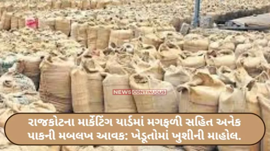 Big income from several crops including groundnut in Rajkot's marketing yard Happy mood among farmers