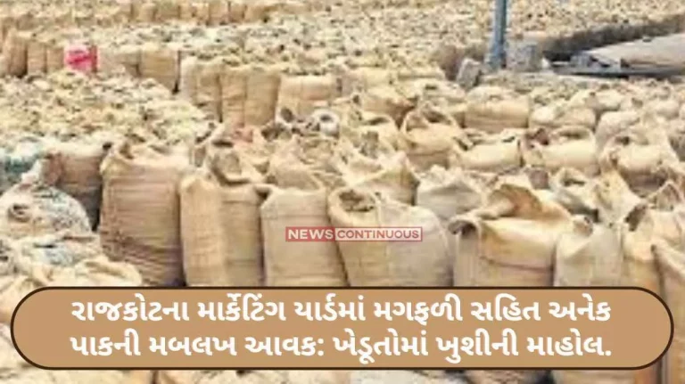 Big income from several crops including groundnut in Rajkot's marketing yard Happy mood among farmers