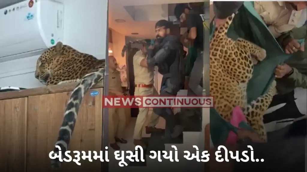 Nashik : Leopard found hiding inside bedroom of Nashik home, captured. Watch