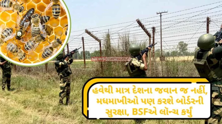 Mission Honey From now on not only the soldiers of the country, bees will also protect the border, BSF launched 'Mission Honey