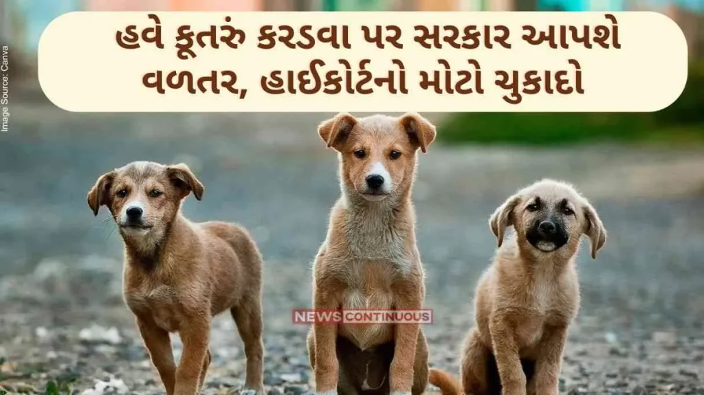 Punjab High Court Now the government will give compensation for dog bites, the big verdict of the high court.