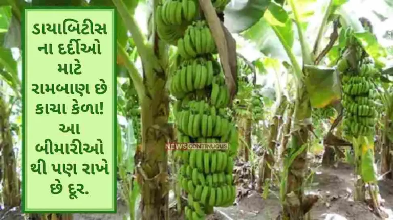 Raw bananas are a panacea for diabetics! It also keeps away from diseases.