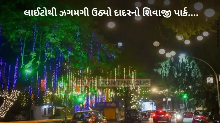 Diwali 2023: Shivaji Park illuminates with colourful lighting