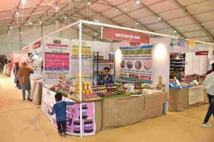 Sisters of Madhwa self-help group of Valsad are earning Rs.12 lakh per year by selling natural products