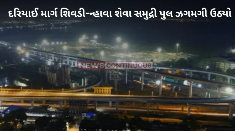 India’s longest sea bridge, Sewri–Nhava Sheva Sea Link bridge lit up with 1200 lights 2 India's longest sea bridge, Sewri–Nhava Sheva Sea Link bridge lit up with 1200 lights