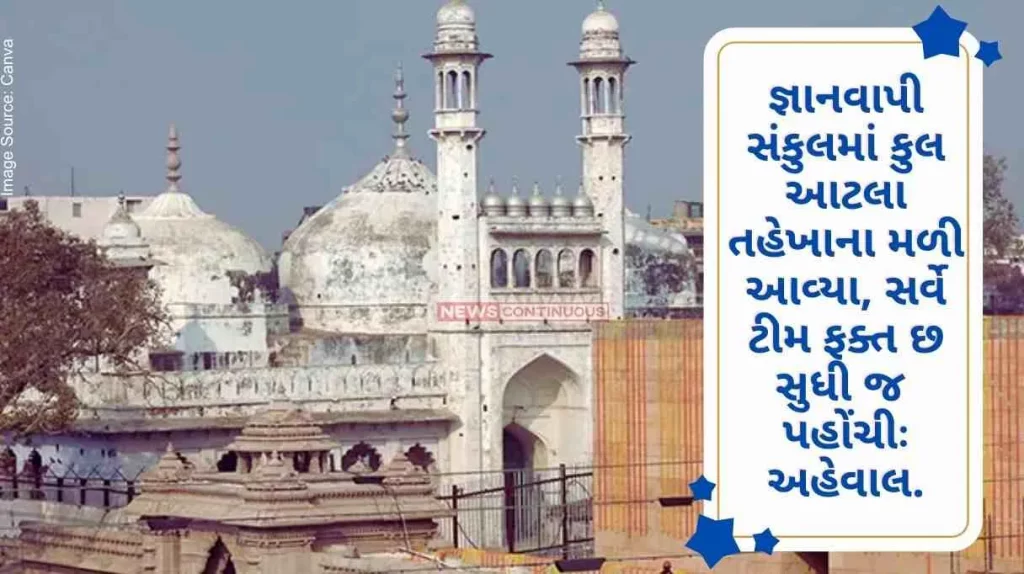 ASI Survey Total 10 tahkhana found in Gnanavapi complex, survey team reached only six report..