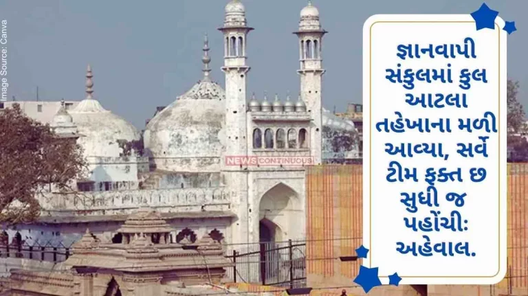 ASI Survey Total 10 tahkhana found in Gnanavapi complex, survey team reached only six report..