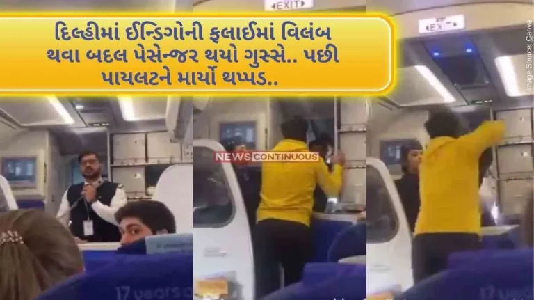 Indigo Slap Video Passenger got angry due to delay in Indigo flight in Delhi.. Then slapped the pilot..