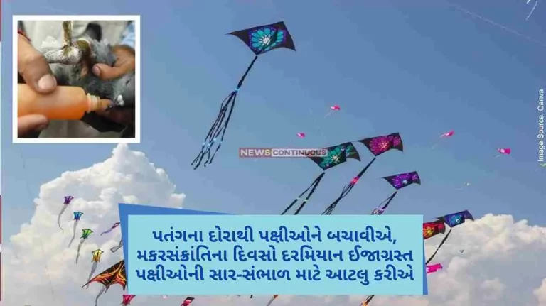 Let's save the birds with the kite string, do this much for the care of the injured birds during the Makar Sankranti days.