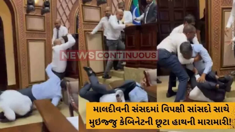Maldives Chaos in Maldives Parliament as MPs fight each other, disrupt proceedings