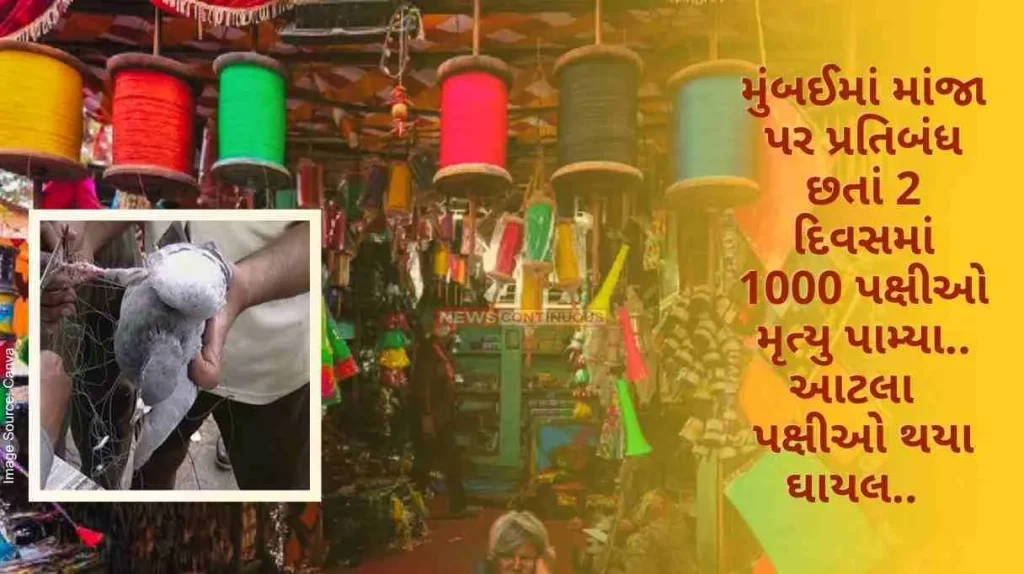 Mumbai 1000 birds died in 2 days despite ban on Manja in Mumbai.. so many birds were injured..