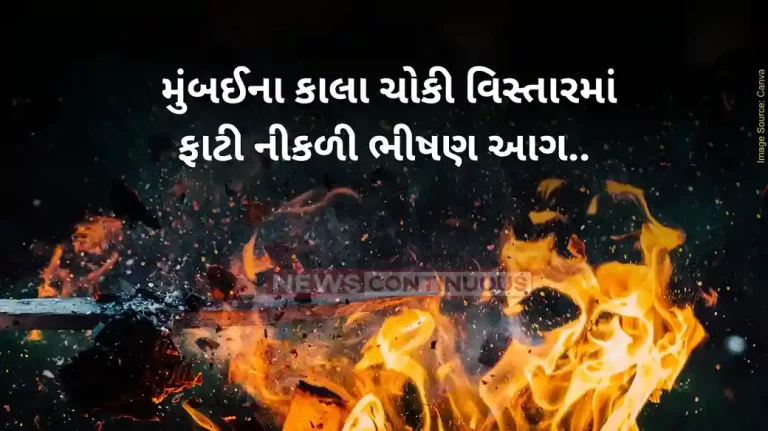 Mumbai Fire Eight Cylinders Exploded One After The Other In A Slum In Kalachowki Smoke Billowing Everywhere