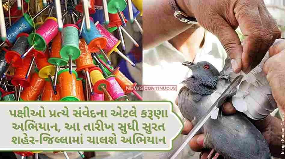 Surat Sympathy for birds means karuna campaign, the campaign will run in Surat city-district till this date