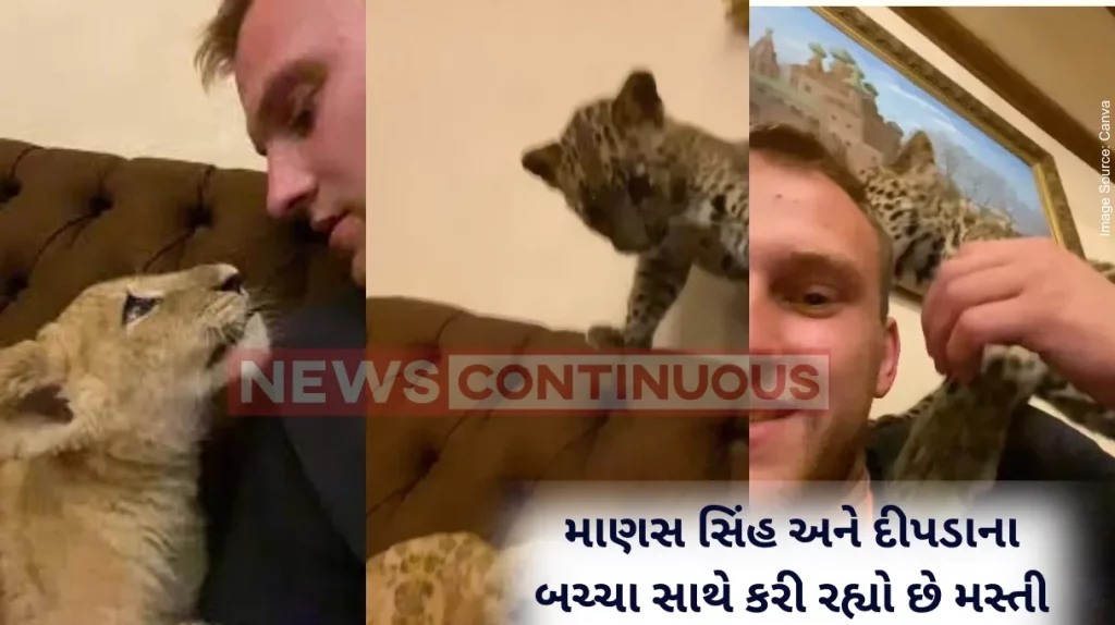 Viral Video Man plays with lion and leopard cubs. People call him cruel