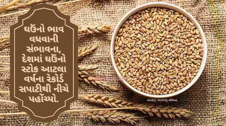 stock of wheat in the country reached below the record level of this year, The possibility of increase in the price of wheat..