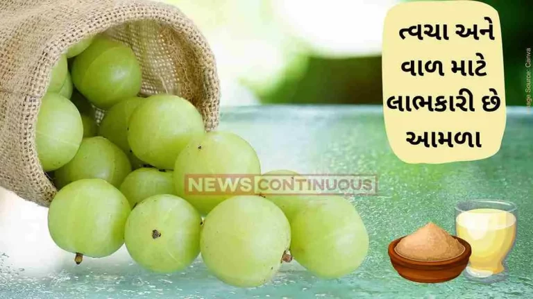 Amla benefits five Reasons Why You Should Eat Amla In Winter Amla benefits five Reasons Why You Should Eat Amla In Winter