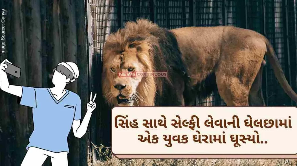 Andhra Pradesh In the frenzy of taking a selfie with a lion, a young man entered the enclosure, then this happened..
