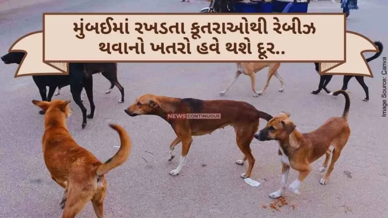 BMC The threat of rabies from stray dogs in Mumbai will now be removed.. The city will become rabies free