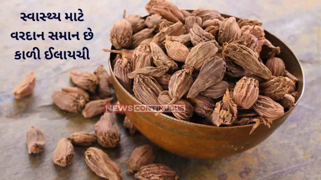 Black Cardamom Benefits Health Benefits of Black Cardamom - you never knew about It