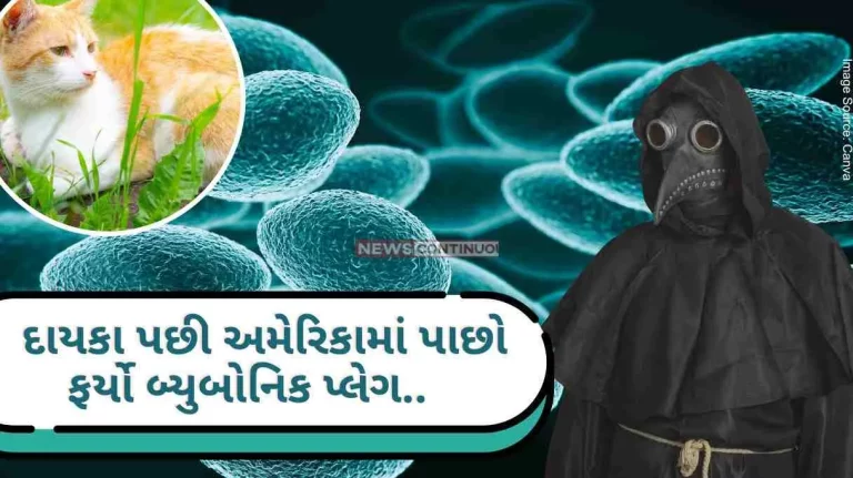 Bubonic plague which took the lives of 50 million people in the 14th century, returned to America after a decade