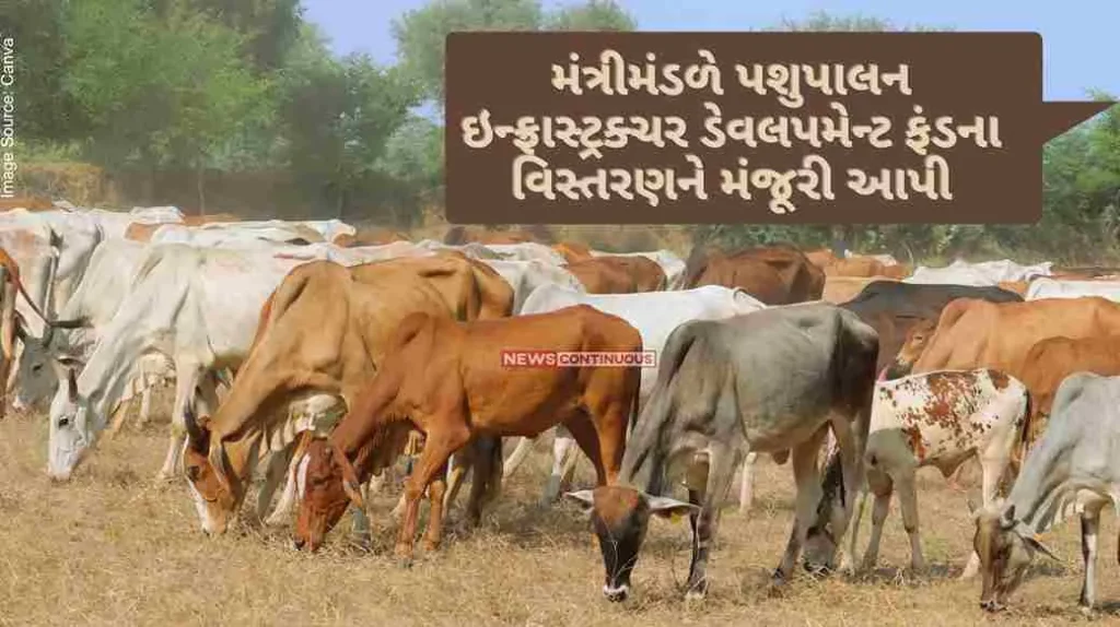 Cabinet approves expansion of Animal Husbandry Infrastructure Development Fund