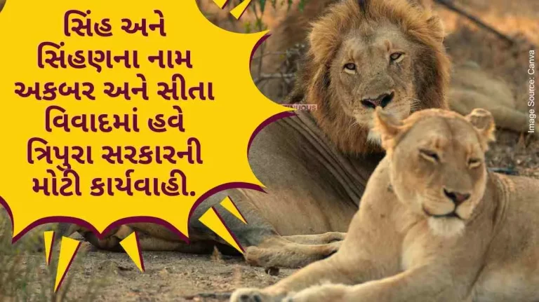 Calcutta High Court Order Big action of Tripura government now in the dispute of names of lions and lionesses, Akbar and Sita.. Forest protection officer suspended..