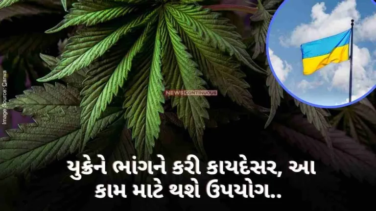 Cannabis in Ukraine Ukraine legalizes hemp, this will be used for work.. Know why the war-torn country did this