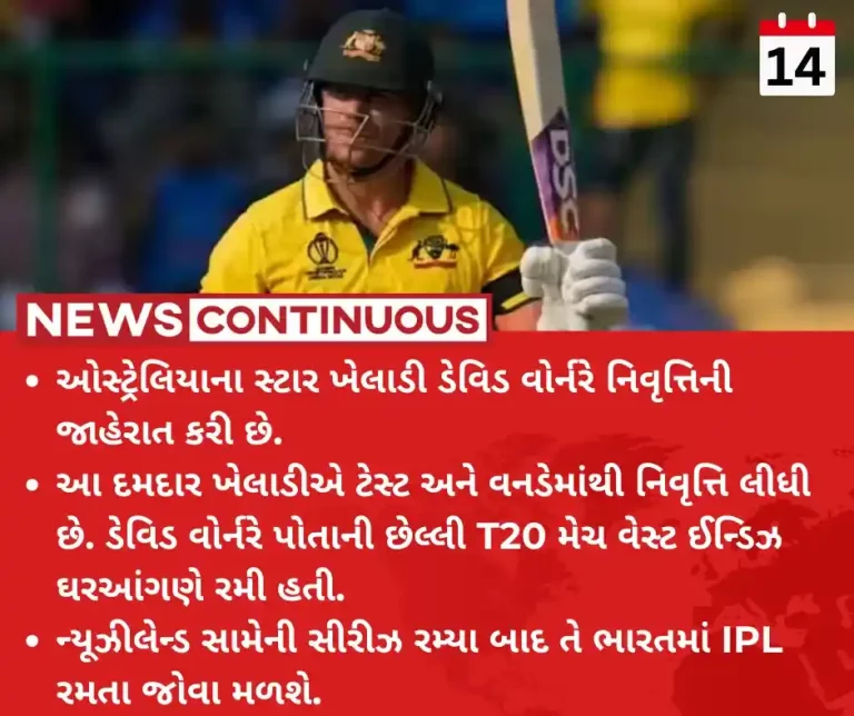 David Warner After Test And ODIs, David Warner Announces Retirement From T20Is