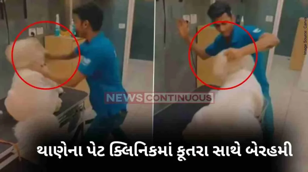 Dog Beat video Two pet grooming staff detained for kicking punching pet