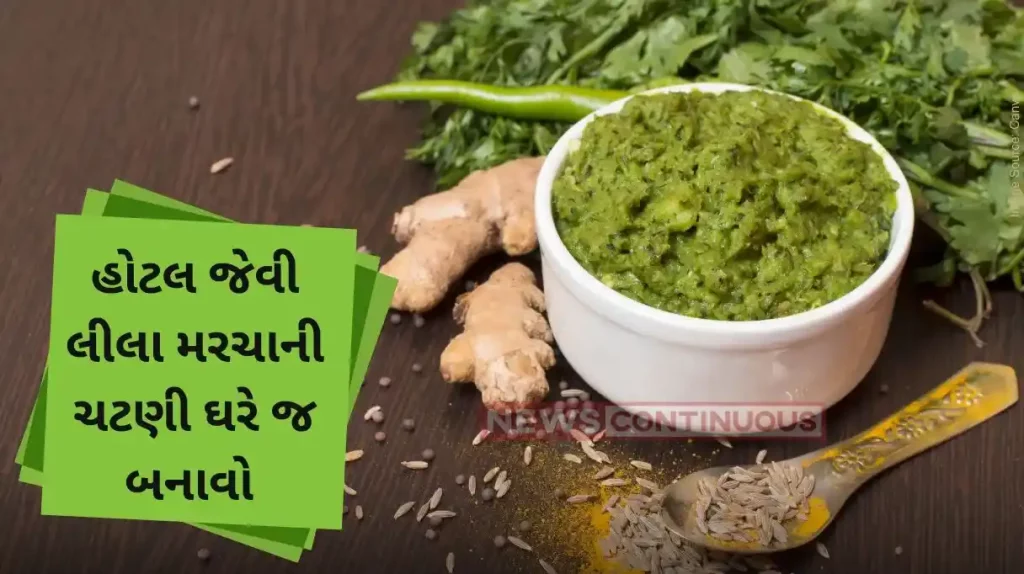 Green chutney How to make restaurant style Green Chutney at home