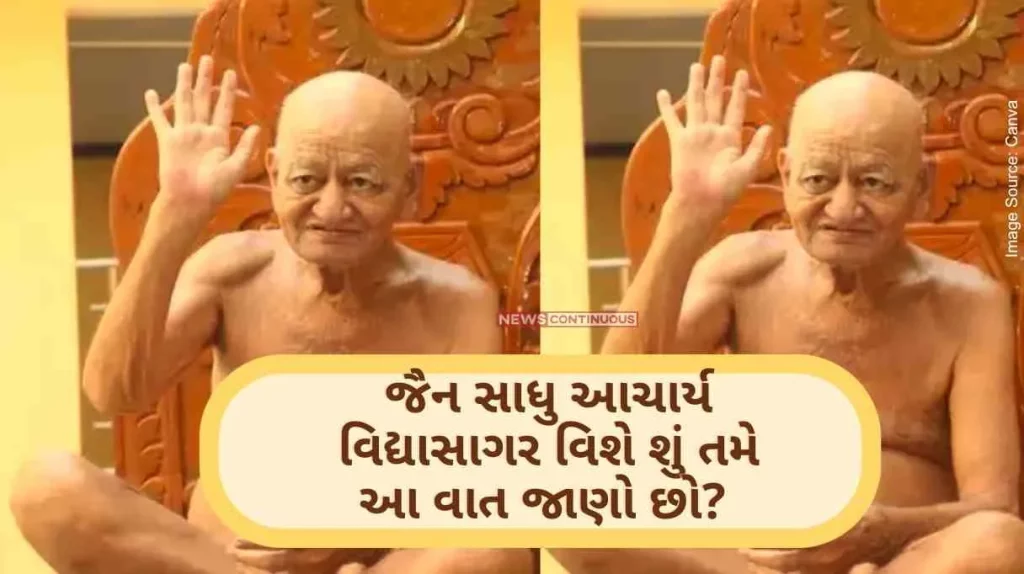 Know about Digambar Jain Sadhu Acharya Vidyasagar