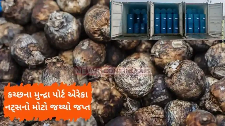 Kutch DRI seized 5 crore worth of areca nut in container yard at Mundra port