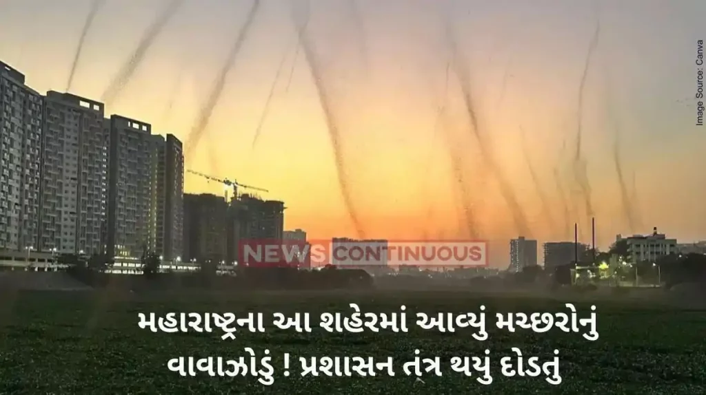 Maharashtra News Swarm of mosquitoes form ‘tornado’ over Pune. Viral video shocks people