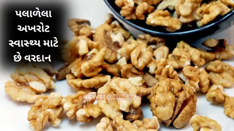 Walnut benefits Benefits of walnuts for brain, heart, weight loss Walnut benefits Benefits of walnuts for brain, heart, weight loss